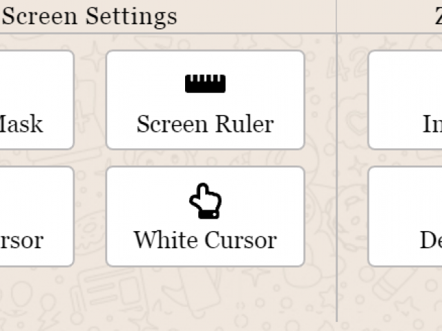 Screen settings Zoom 4