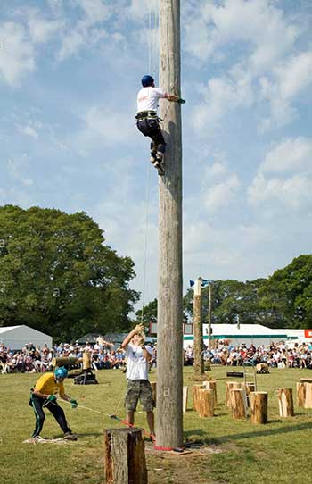 climbing competition 350w